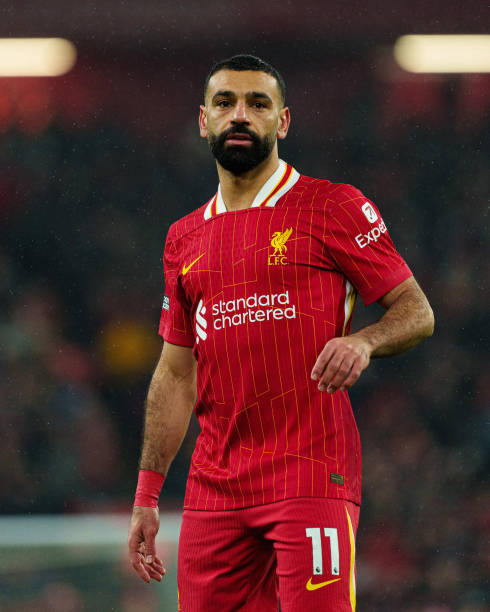 成长的年轻 成长的年轻