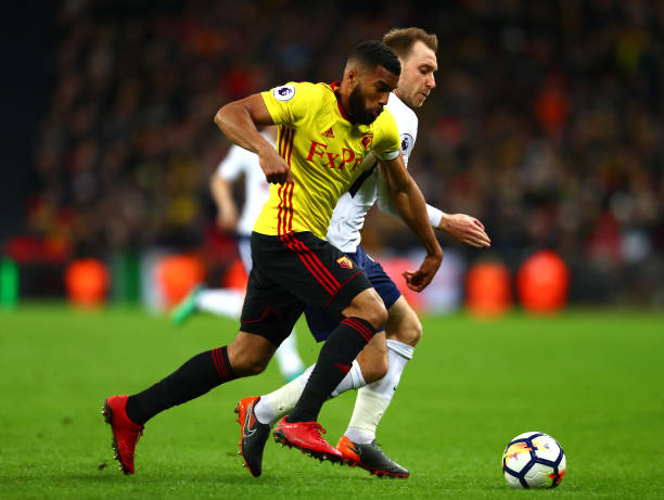 更紧密的情 更紧密的情